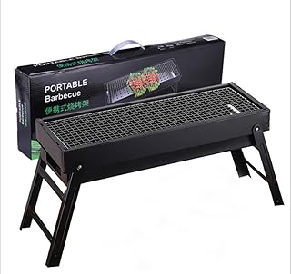 Gril à charbon portable, pliable pour l'extérieur/la maison/le camping, four en acier inoxydable