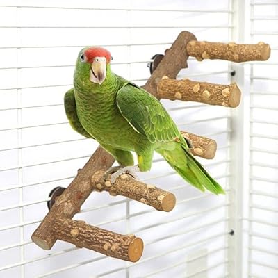 Jouet à mâcher pour perroquet en forme d'échelle en bois naturel the white
