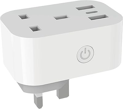 Wanti usb tuya wifi smart socket avec 2 ports usb et calendrier