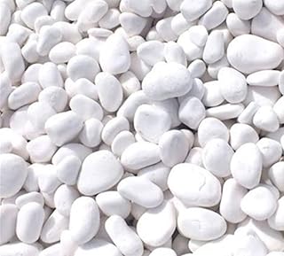 Pierre de galet blanche (grande taille 5 kg)