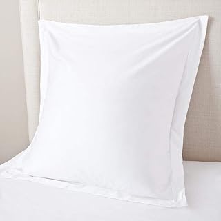 Ensemble de 2 housses de coussin carrées européennes, taille 28 x 28, luxueux