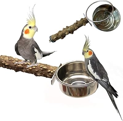 Perchoir à oiseaux en bois naturel avec mangeoires acier inoxydable et bols