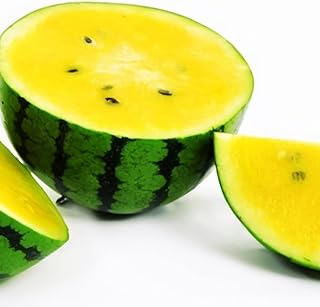 30 pièces de graines de pastèque jaune, des fruits de belle couleur peuvent