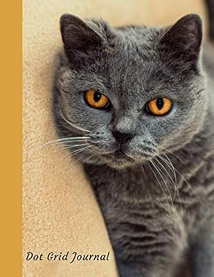 Journal à grille de points pour chat british blue shorthair