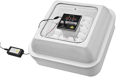 Incubateur d'œufs coxmachine 50, épaisseur du corps 35 mm, double couche