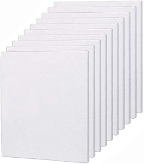 Siosi 10 pièces de peintures sur toile vierges pratiques, peintures sur toile