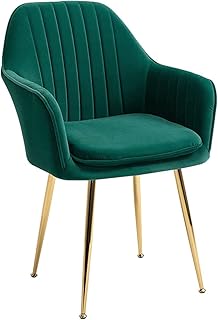Fauteuil décoratif contemporain en érable pour la décoration de la maison, salon, salle