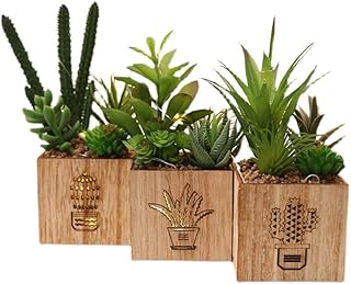 The white shop lot de 3 plantes succulentes artificielles avec lumières led
