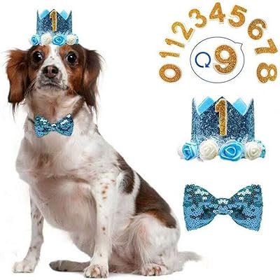 Fournitures de fête d'anniversaire pour chats et chiens, bandana à motif chaton