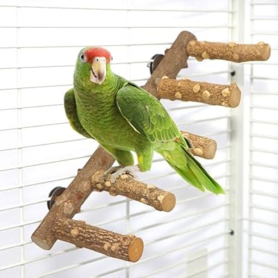 Jouet à mâcher pour perroquet en bois naturel pour animaux de petite