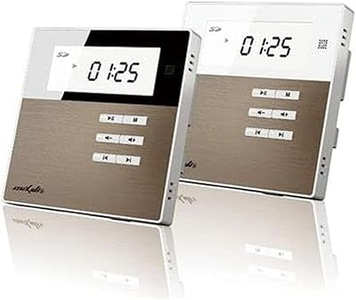 Dm835 (2*10w) haut-parleur mural pour maison intelligente