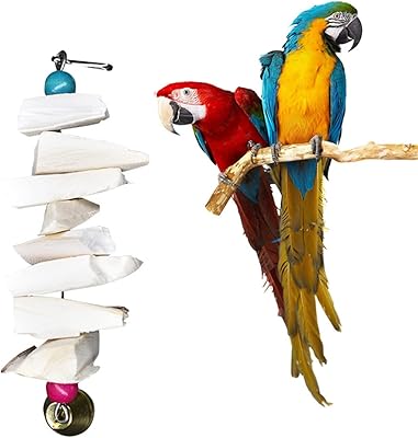 Jouet à mâcher pour perroquet, os de calmar antole, bec et bec d'oiseau