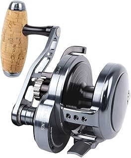 Moulinet de jigging moulinets à cuillère lente en eau salée 6.3