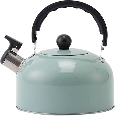 Bouilloire à thé en acier inoxydable de qualité alimentaire 3l avec poignée ergonomique