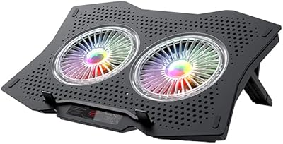 Tapis de refroidissement pour ordinateur portable de jeu havit avec deux ventilateurs silencieux