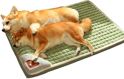 Lit pour chien moyen dalmaon - lit et canapé pour chien en mousse