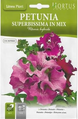 Graines de mélange de pétunia de haute qualité \"petunia super bissima n mix\"