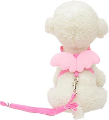 Ensemble collier et laisse d'ailes de chien mignons pour petits chiens et chats