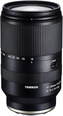 Objectif tamron 18-300 mm f/3.5-6.3 di iii-a vc vxd pour appareils photo