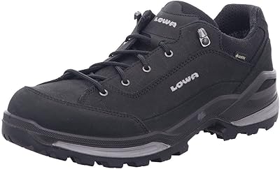 Bottes de randonnée lowa renegade gtx pour hommes