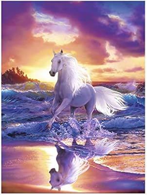 Kits de peinture diamant 5d à faire soi-même cheval blanc adulte