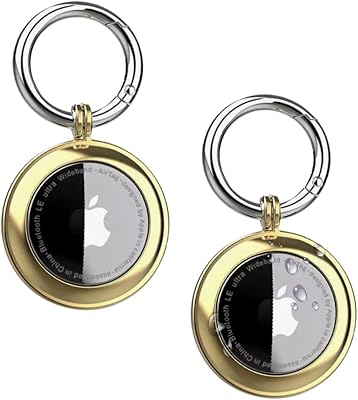 Ensemble d'étuis pour porte-clés apple airtag | paquet de 2 supports
