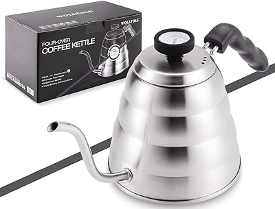 Bouilloire à thé et à café en acier inoxydable avec thermomètre, col