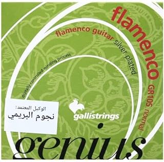 Guitare classique flamenco (gr105)