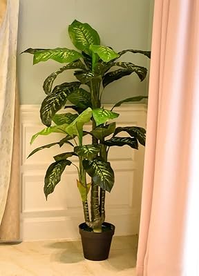 Yahome plante d'arbre à feuilles persistantes à feuilles persistantes d'environ 1,6 mètres