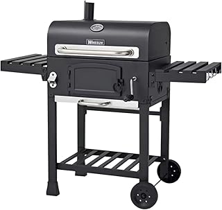 Cool baby barbecue d'extérieur pour la maison, la villa et la terrasse, barbecue