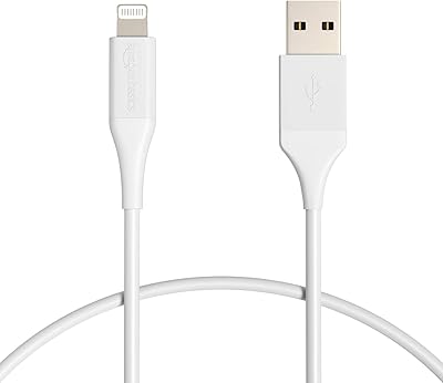Câble de chargeur iphone amazonbasics, câble usb type a vers lightning en plastique abs et certifié mfi pour iphone et ipad, avec la capacité de se plier jusqu'à 10 000 fois, 1 pied de long, couleur blanche. Votre shopping simplifié de A à Z avec Diaytar