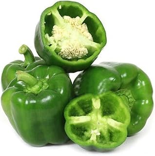 50 graines de légumes d'été capsicum green à cultiver dans votre maison