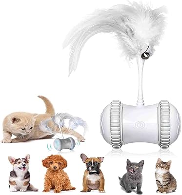 Jouet robot intelligent pour chat à 360 degrés jouet électronique interactif d'intérieur