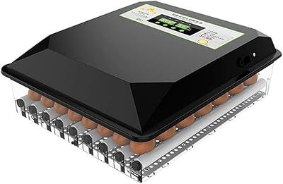 Incubateur de 36 œufs retournement-humidification automatique et contrôle de la température pour l'éclosion