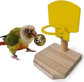 Jouet de basket-ball lito girl bird pour l'entraînement de perruche calopsitte conure cacatoès