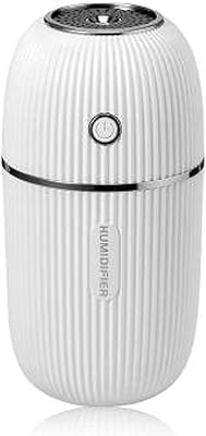 Diffuseur d'humidificateur d'air sain, brume fraîche automatique nécessaire pour chambre à coucher, voiture