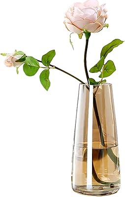 Vase moderne en verre transparent ns pour la décoration de la maison et du bureau (or). Vos marques préférées à prix réduits sur Diaytar