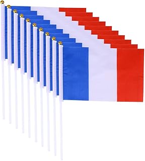 Amosfun pack de 20 drapeaux à main france mini drapeau à main national