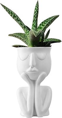 Pots de plantes succulentes jafest, pots de cactus en résine, petits pots de plantes mignons pour la décoration du bureau à domicile (blanc). Faites-vous plaisir sans culpabiliser avec Diaytar