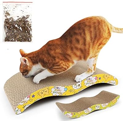 Griffoir b1 pour chat avec herbe à en carton recyclable robuste adapté la protection