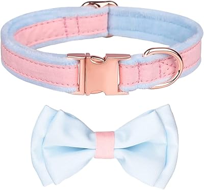 Collier pour chien avec nœud papillon papillon collier pour chiot colliers réglables