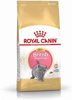 Nourriture royal canin adaptée à l'alimentation des chatons british shorthair, 2 kg