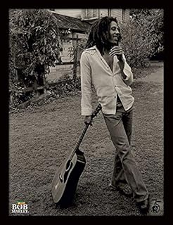 Bob marley fp12794p-pl photo encadrée vintage 13,5 x 18", multicolore, 13,5 x 18,5