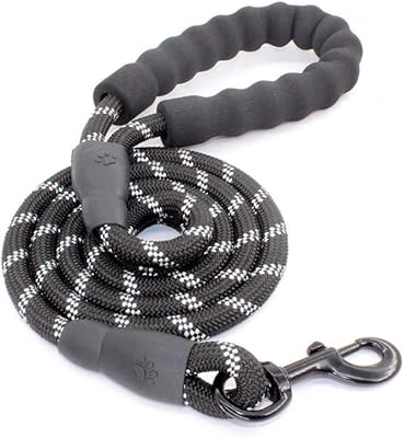 Corde de traction réfléchissante durable de 1,5 m, corde d'escalade tressée, laisse