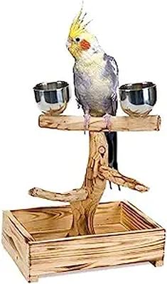 Un modèle en bois d'arbre naturel d'oiseaux de petite et moyenne taille