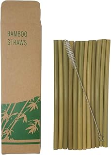 Ensemble de 12 pailles en bambou réutilisables et écologiques daily chic avec brosse