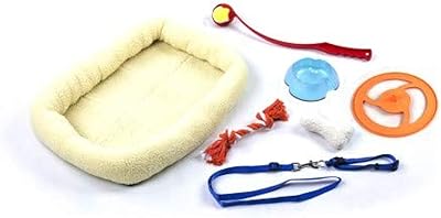 Coffret cadeau pour chien paw pals 8 pouces kit de de ́marrage