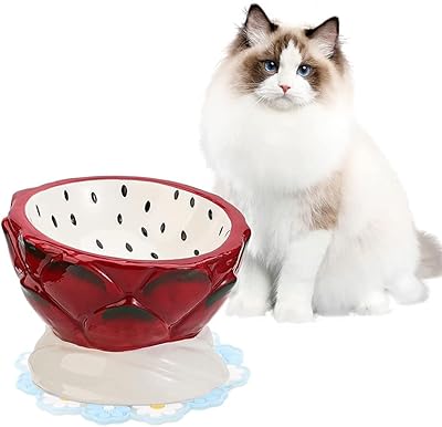 Bol de nourriture surélevé en céramique minerve fruit series (pitaya) pour chats