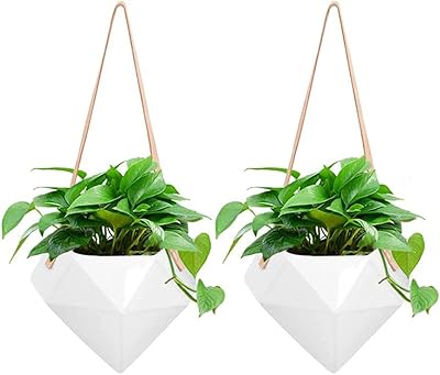 Pot de plante suspendu géométrique support mural en céramique moderne pot intérieur extérieur