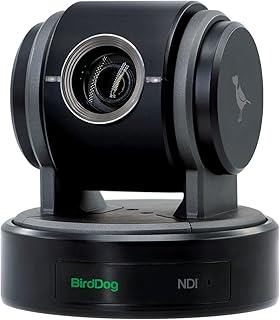 Caméra ptz birddog p100 1080p60 full ndi, noire